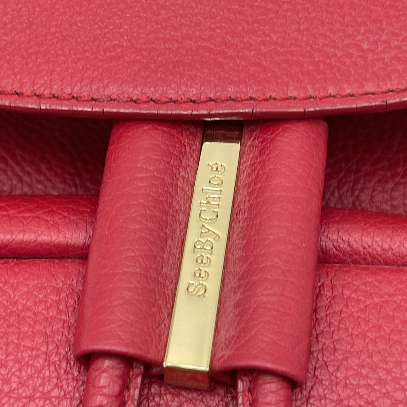 See by Chloe Vicki Saddle Bucket & Drawstring Crossbody Bag Purse Tassels Red