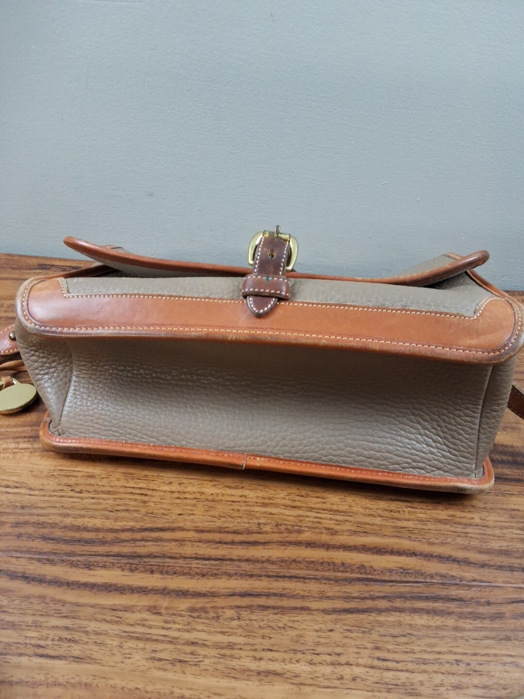Dooney & Bourke Green Brown Purse Handbag Tote All Weather Leather USA See Photo