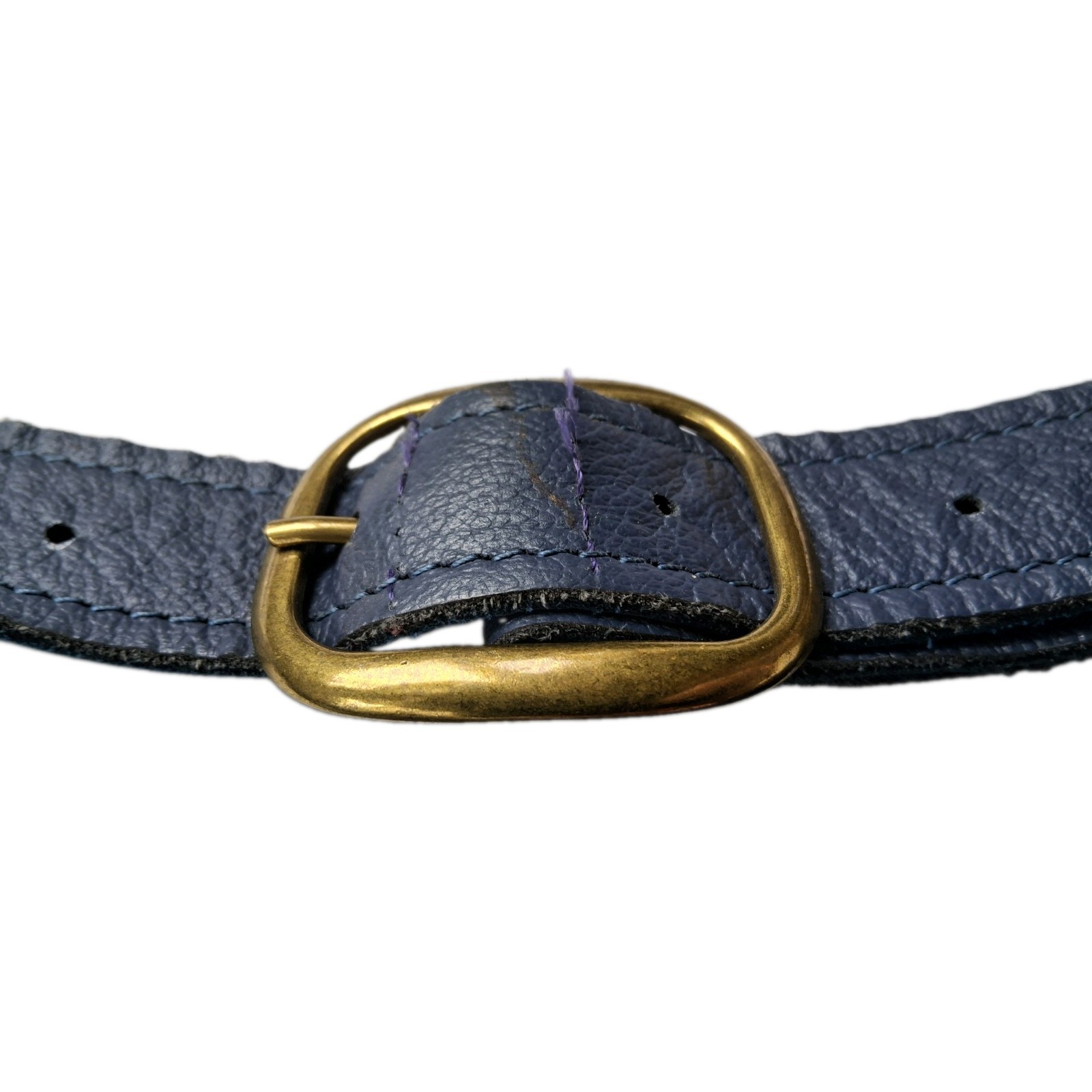 Limited Edition Looptworks Bag Poetland, Oregon Large Black & Blue Long Strap
