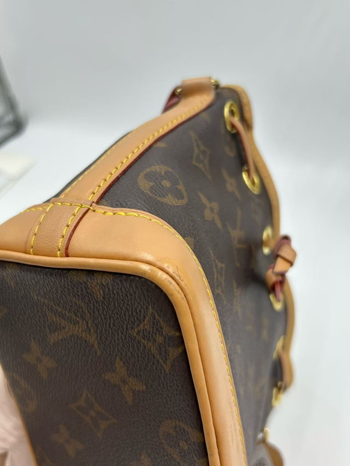 Authentic Louis Vuitton Nano Noé Monogram Bucket Bag France