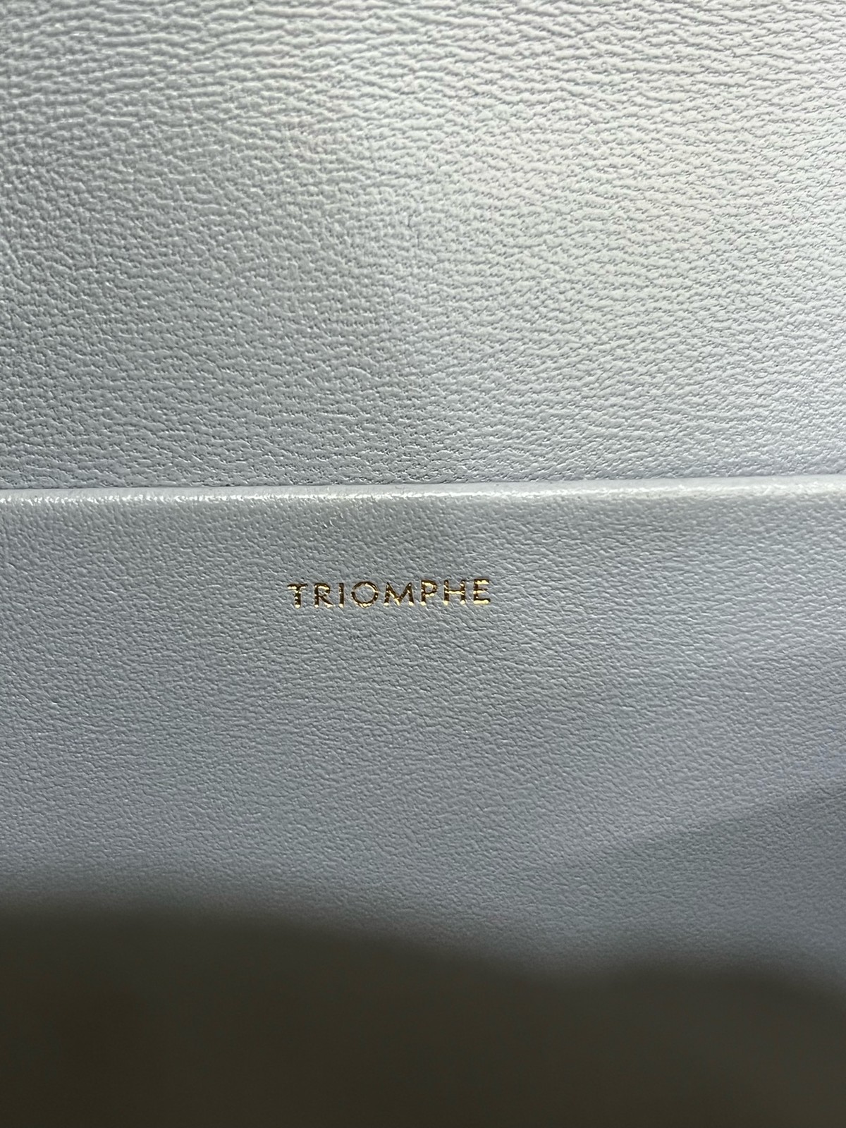 Celine Triomphe Normal Light Blue Calfskin Underarm Shoulder Bag Duty Paid