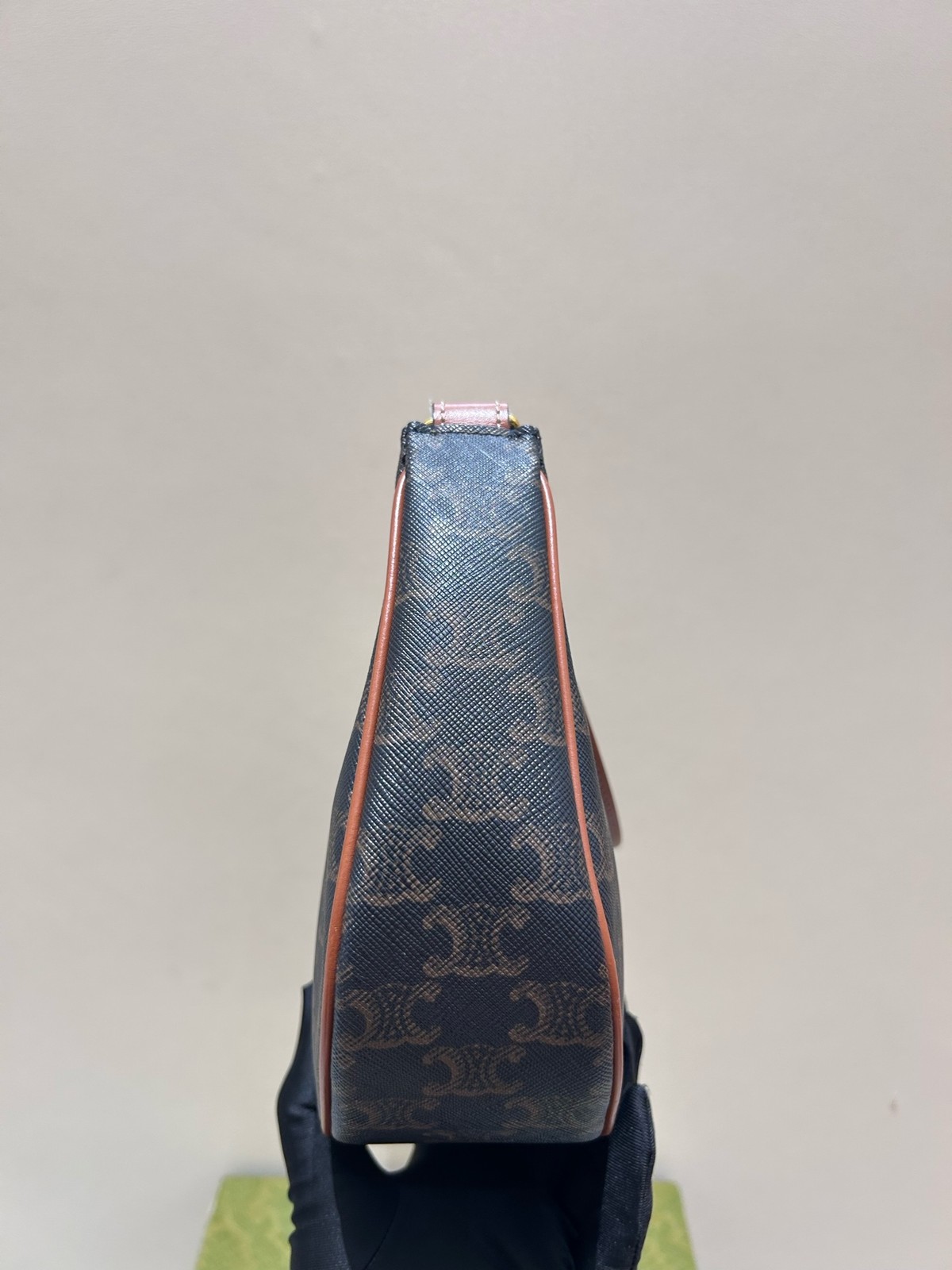 Celine AVA Triomphe Canvas Underarm Pea Shoulder Bag For Women