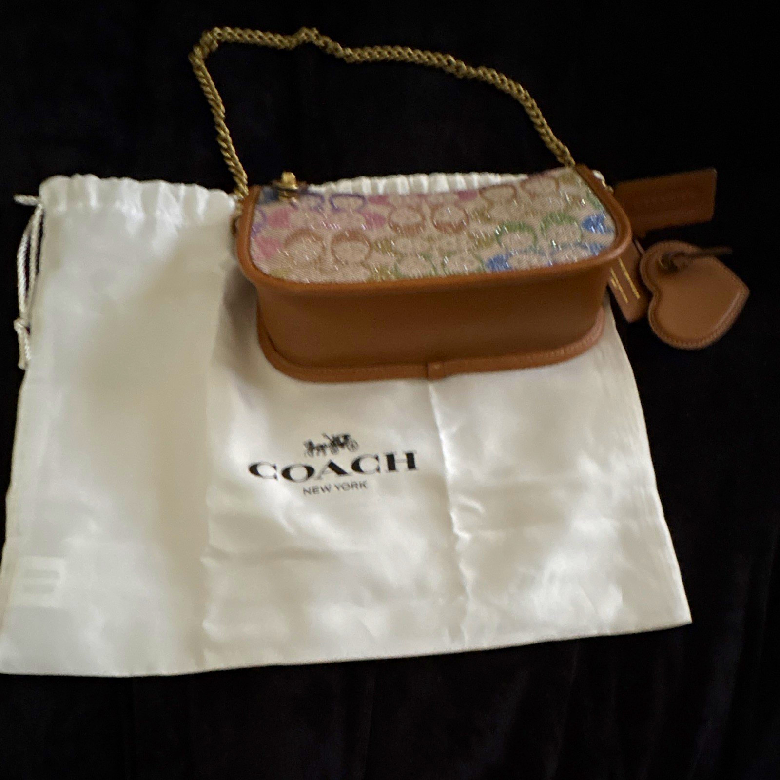 Coach Swinger Small Shoulder Bag Logo Brown Multicolor Chain Strap Zip Dust Bag
