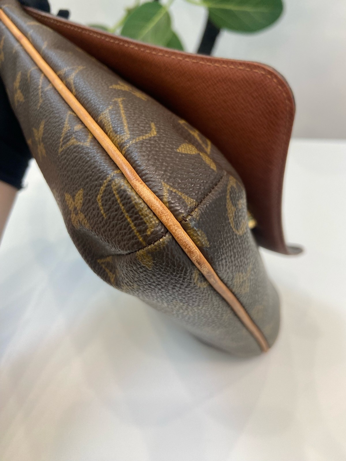 Louis Vuitton Pre-Owned Authentic Luxury Handbag 22×24cm Free Tracked Shipping