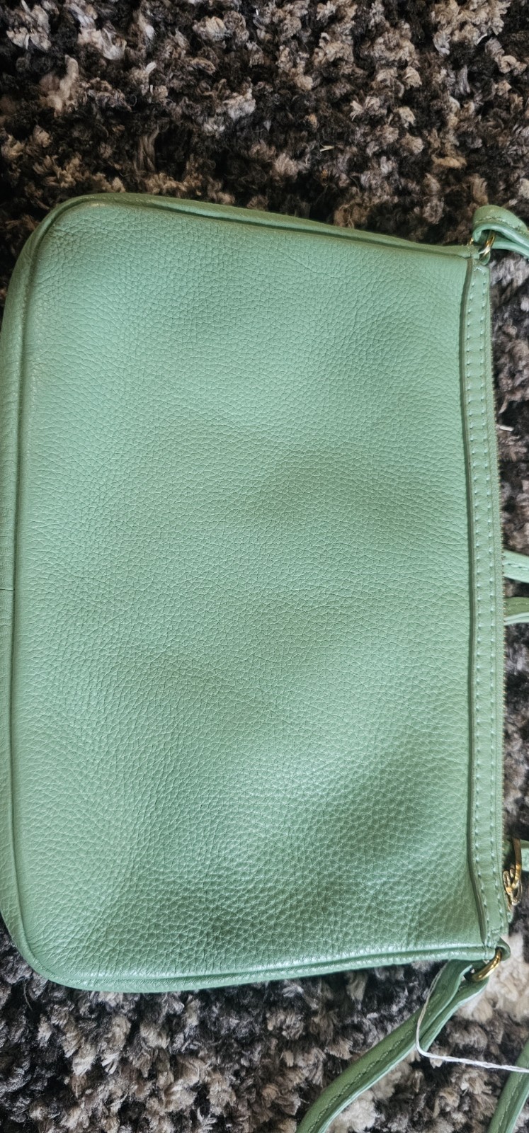 Fossil Erin Mint Genuine Leather Crossbody Fairycore Forestcore 90s Vibes