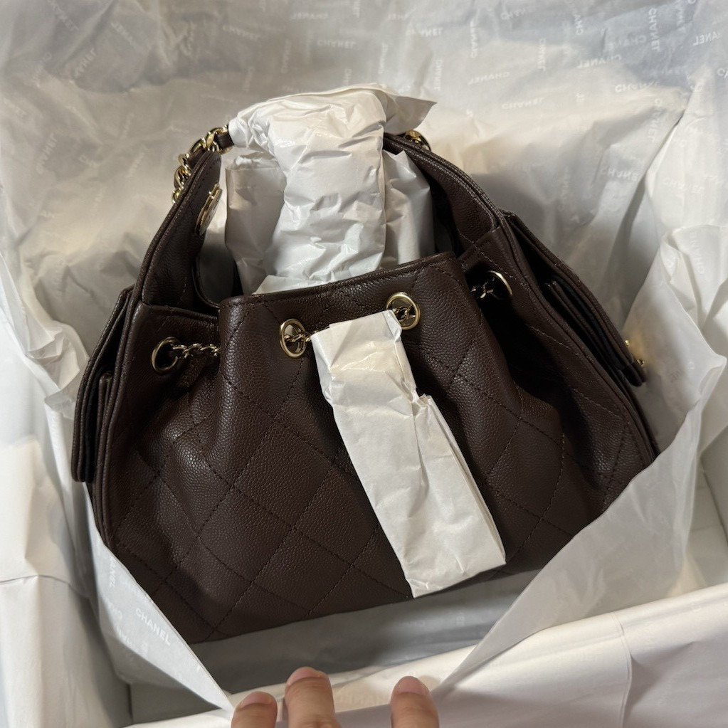 CHANEL 25 mini in dark brown, season 26B