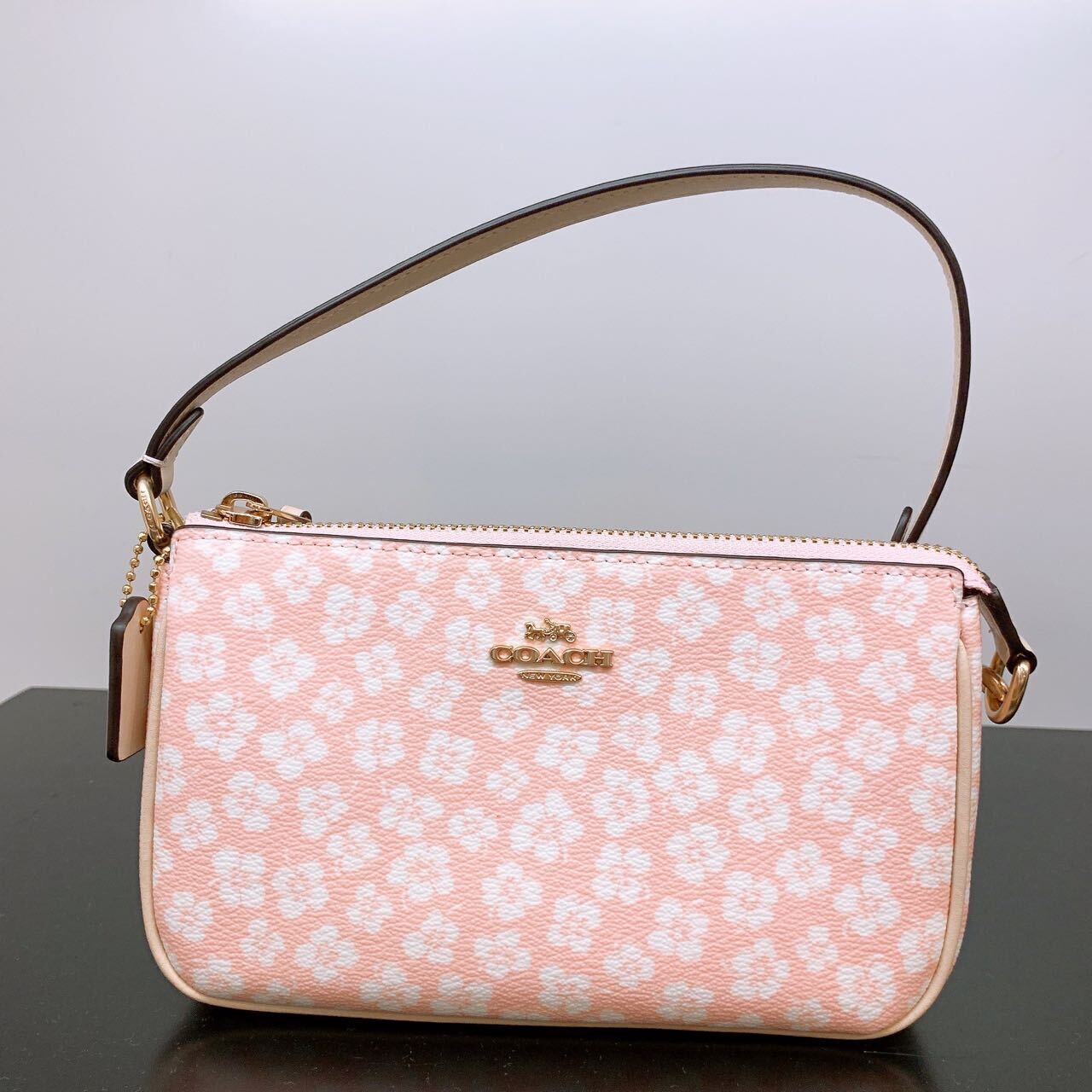NWT Coach Nolita 19 In Blocked With Rainbow/Dreamy Veggie/Floral Whipstitch