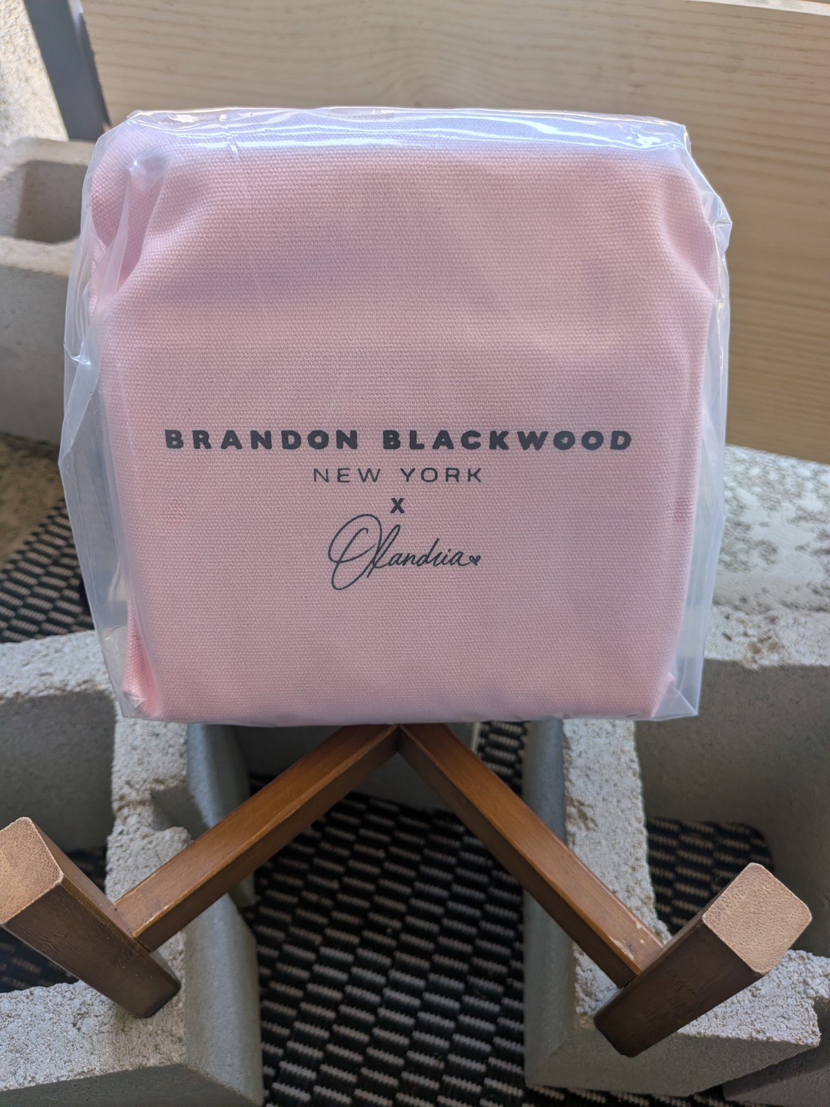 Brandon Blackwood Olandria O-Zip Mini Trunk Pink Canvas Collab IN HAND SHIPS NOW
