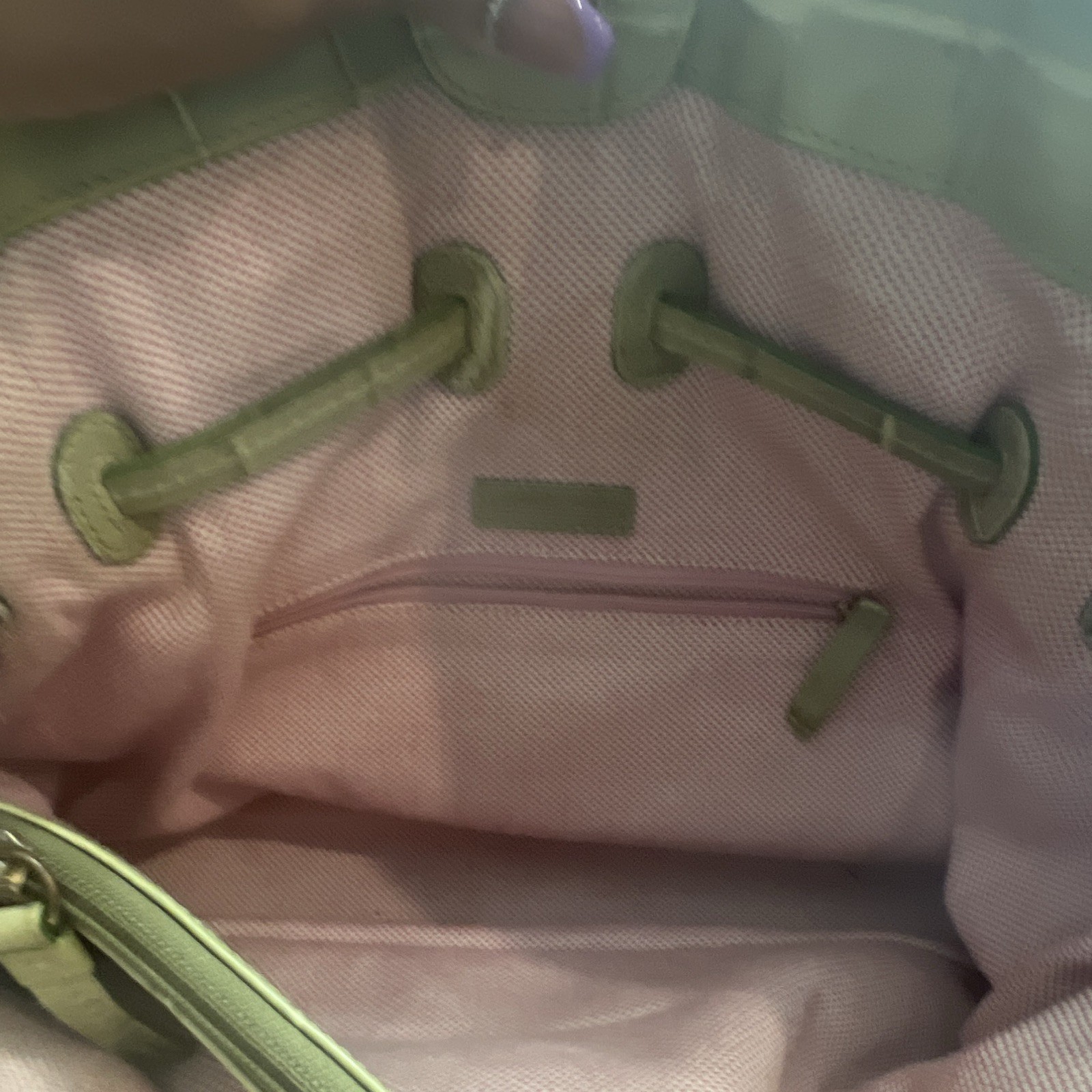 Dooney & Bourke Green Croc Embossed Shoulder Bag Drawstring Zip Gold Pink Lined