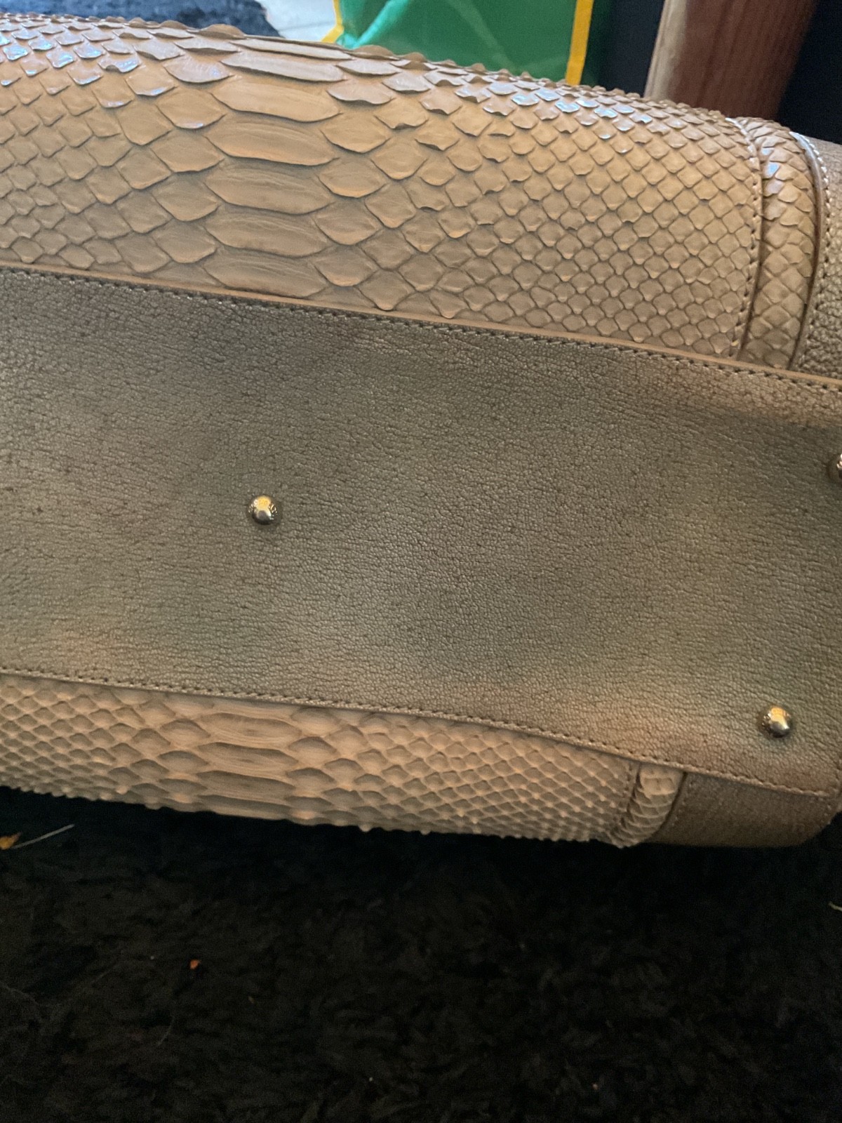 Georgio Armani Rare Python bag