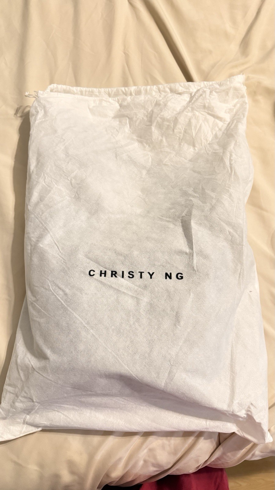 Christy Ng Brown Tote Shoulder Bag Buckle Closure Inner Pockets w/ Dust Bag