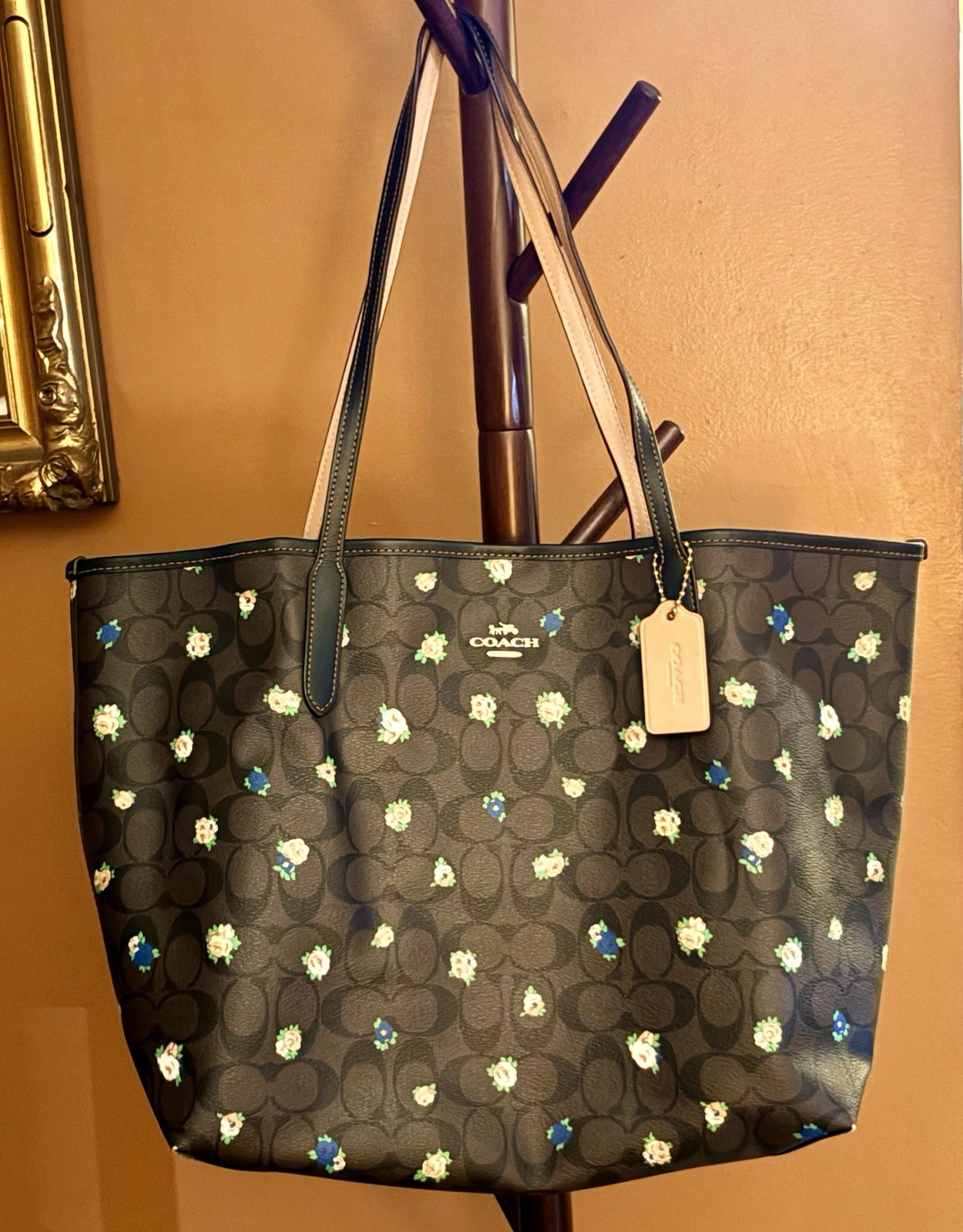 Coach Women’s City Tote In Signature Canvas – Brown Black Multi Mini Rose Print