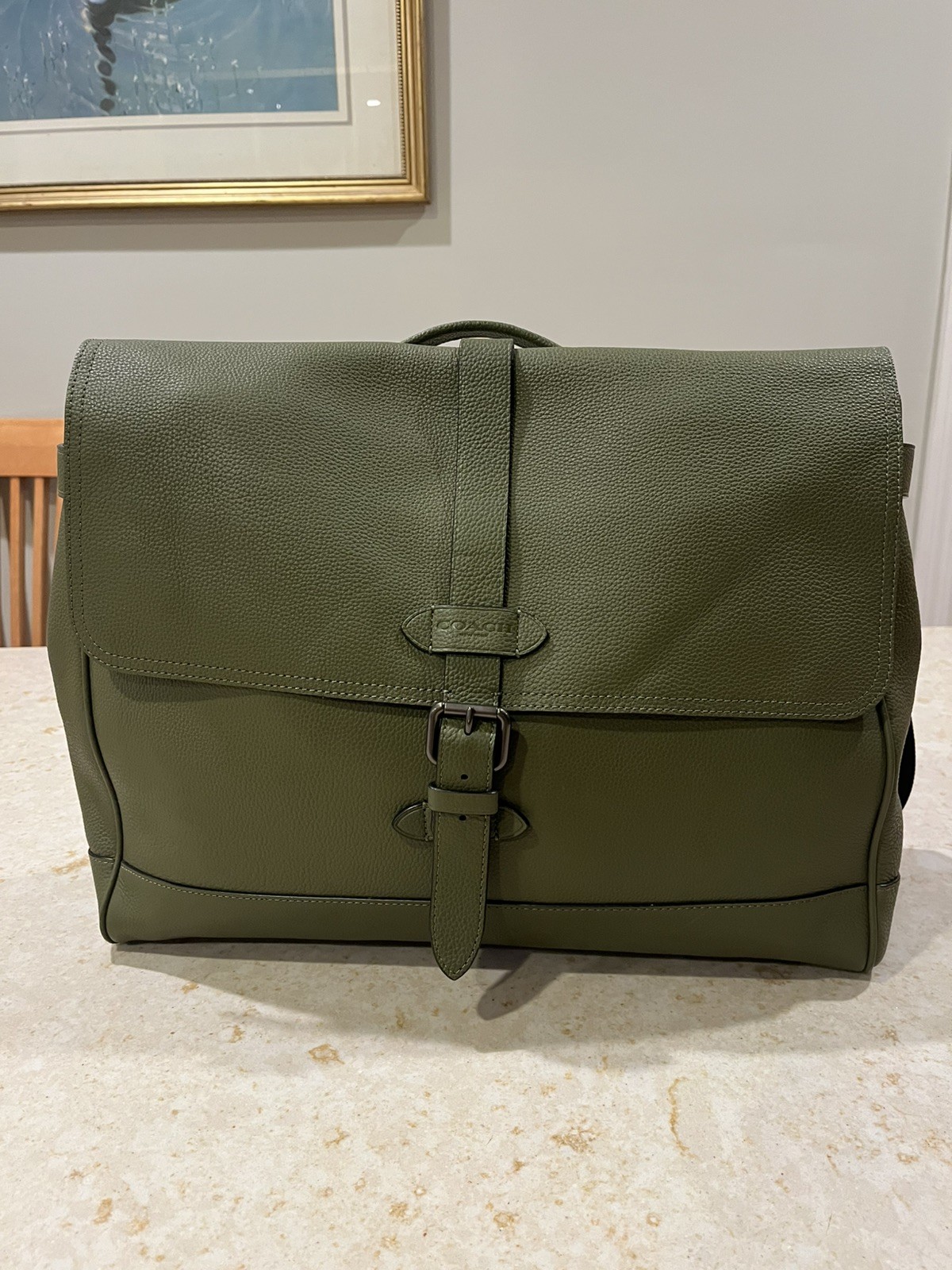 Coach Bag. hudson Coach bag dark olive,coach Bag,COACH F36810