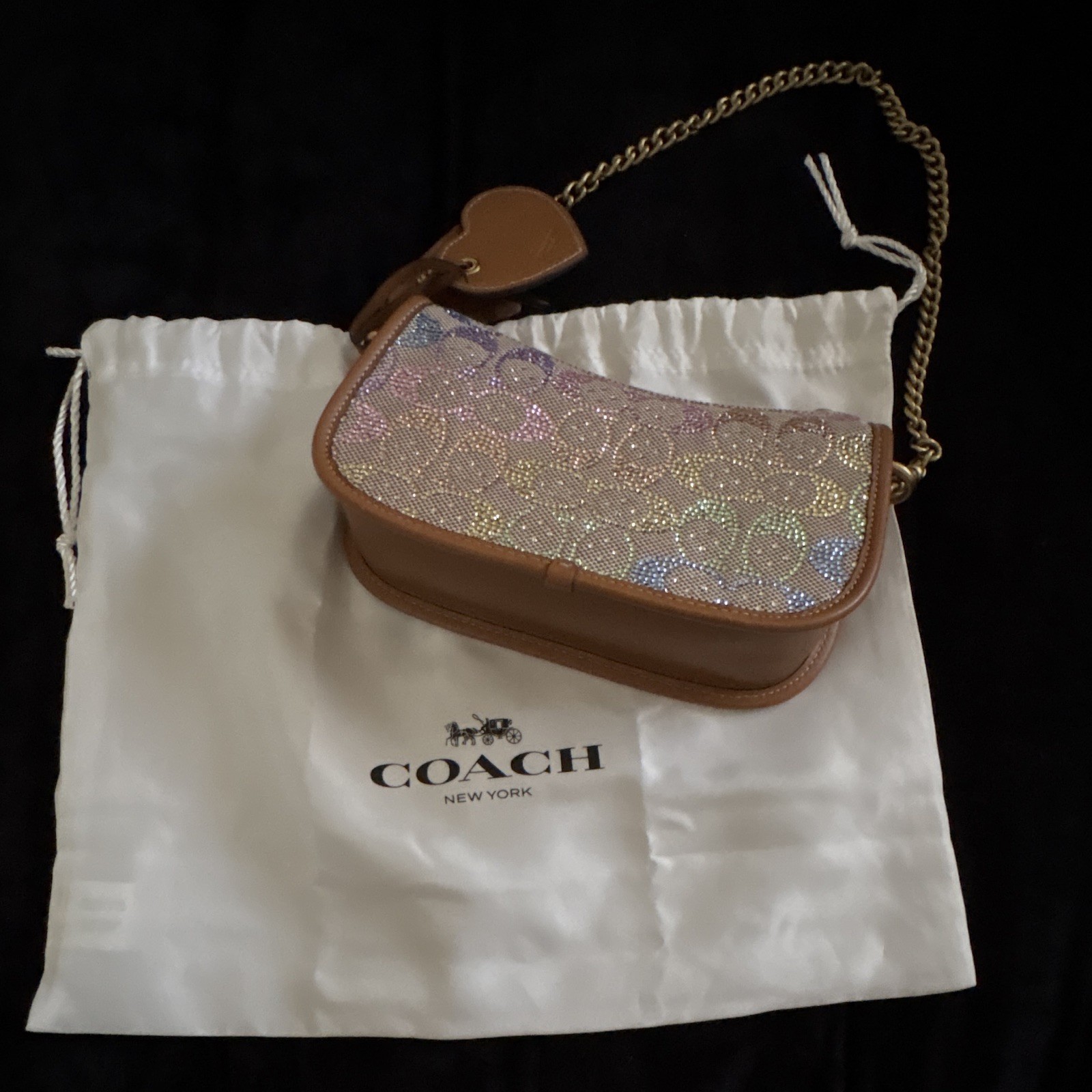 Coach Swinger Small Shoulder Bag Logo Brown Multicolor Chain Strap Zip Dust Bag