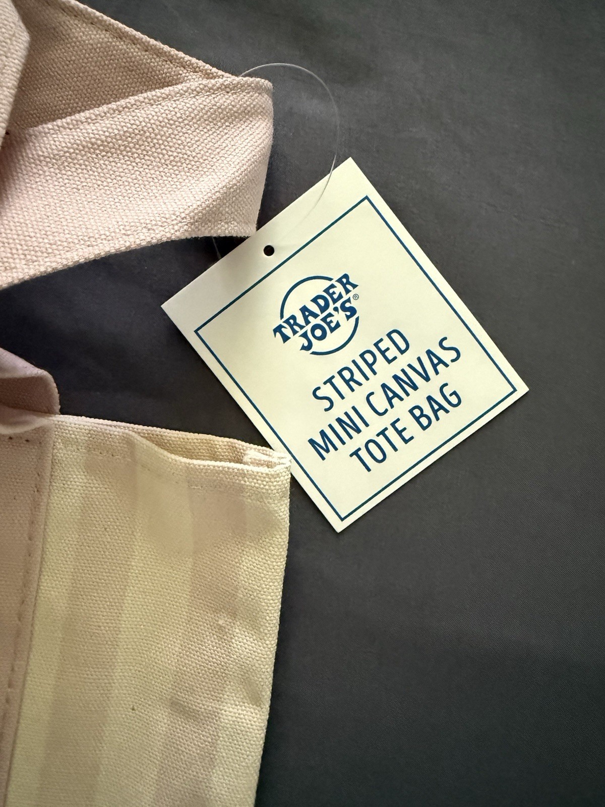 Trader Joe’s Mini Pastel Stripe Canvas Tote Bag Limited Edition – Pink