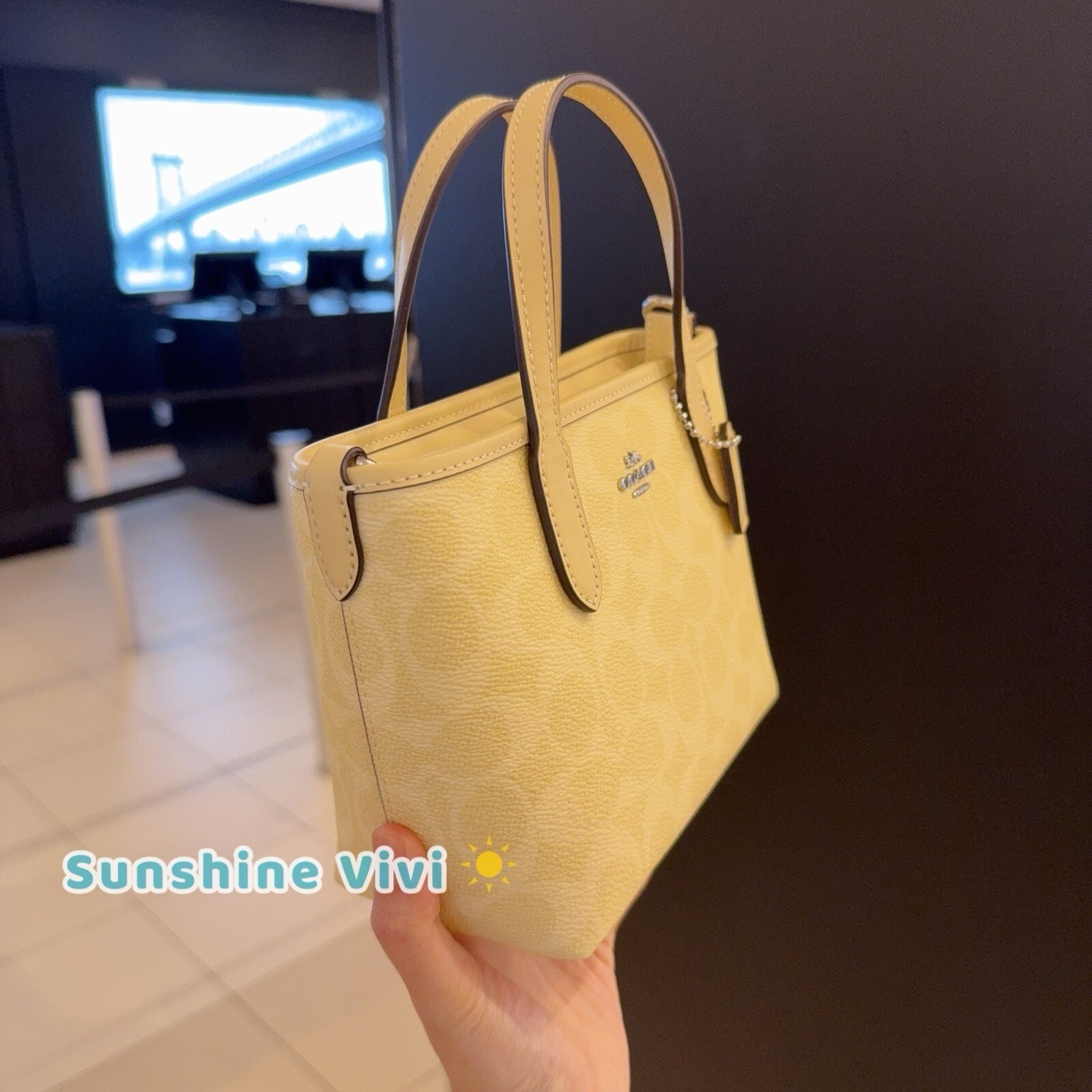NWT Coach City Mini Tote Bag In Signature Canvas CW032 Silver/Hay