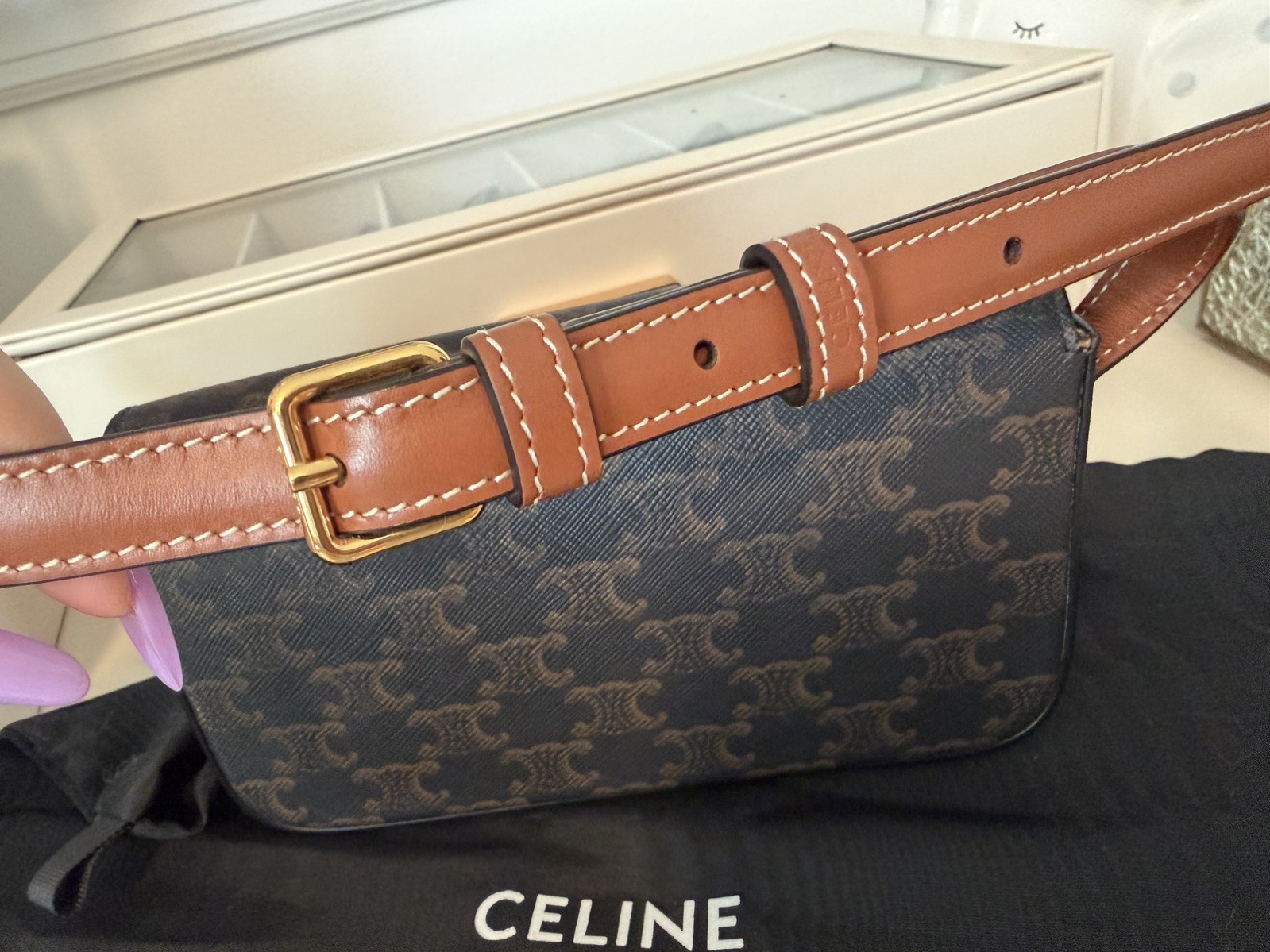 Celine Triomphe Canvas Shoulder Bag Black Brown Gold Women Classic Fashion