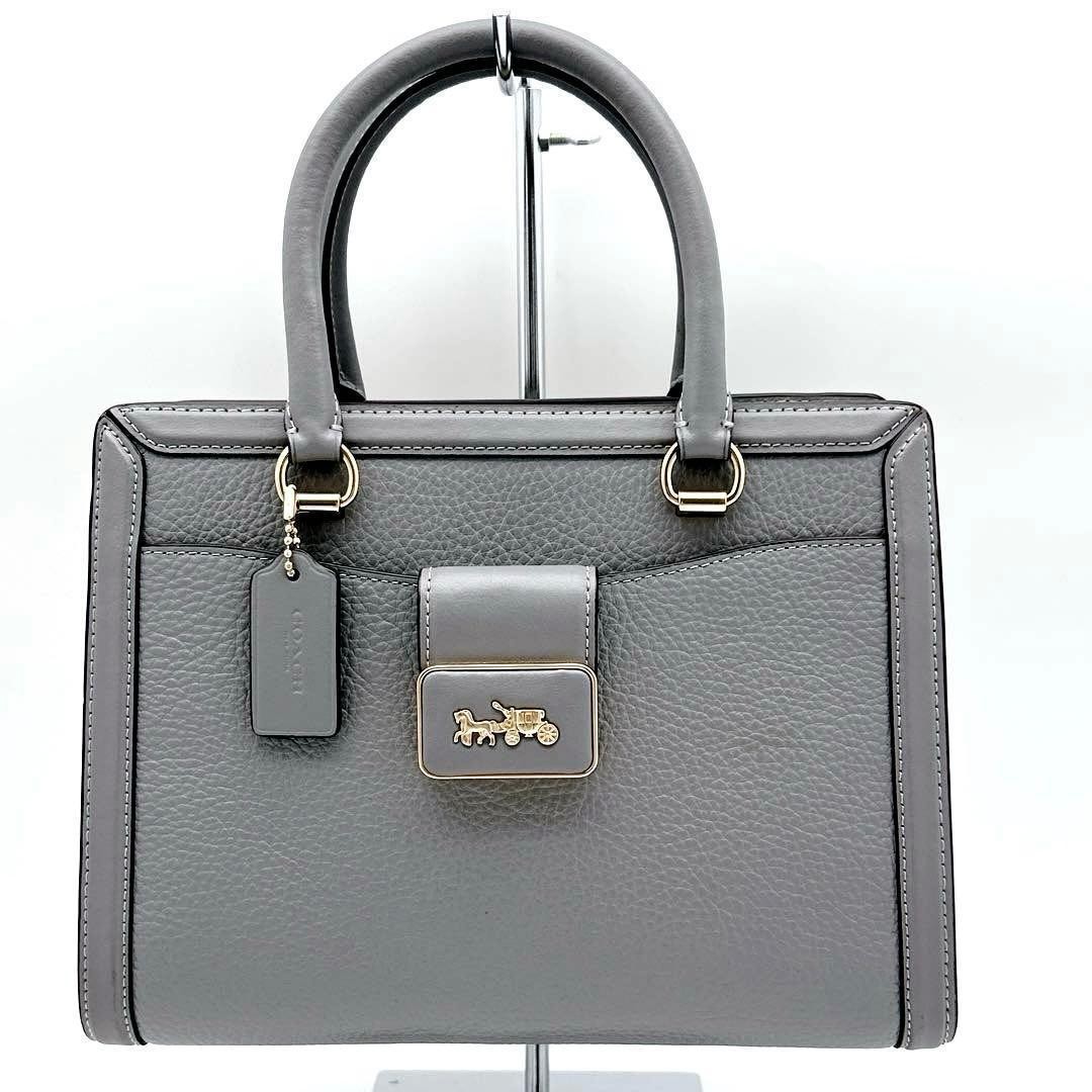 Coach Grace Carryall CE606 Python Embossed Leather 2Way Bag Gray