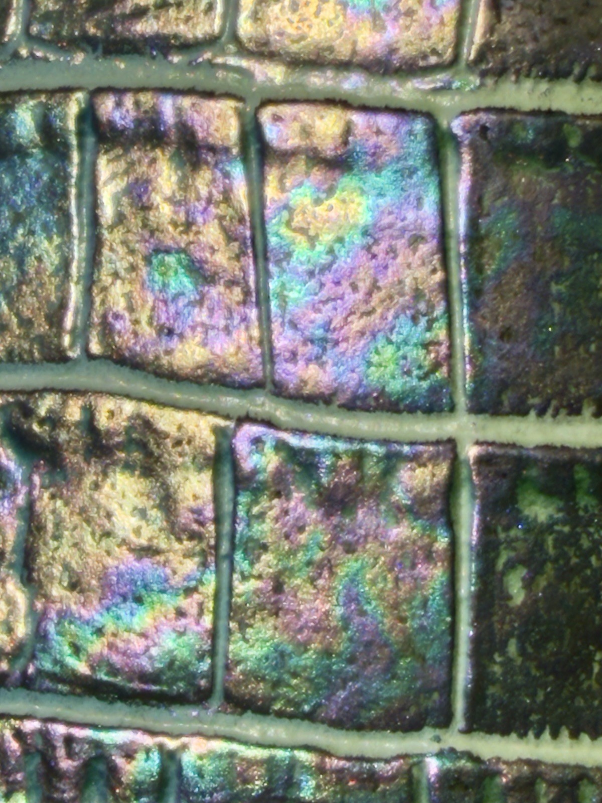 💜🩷🩵 Brahmin VISIONARY DELPHINE, Highly Iridescent Katie, EUC Fabulous!!