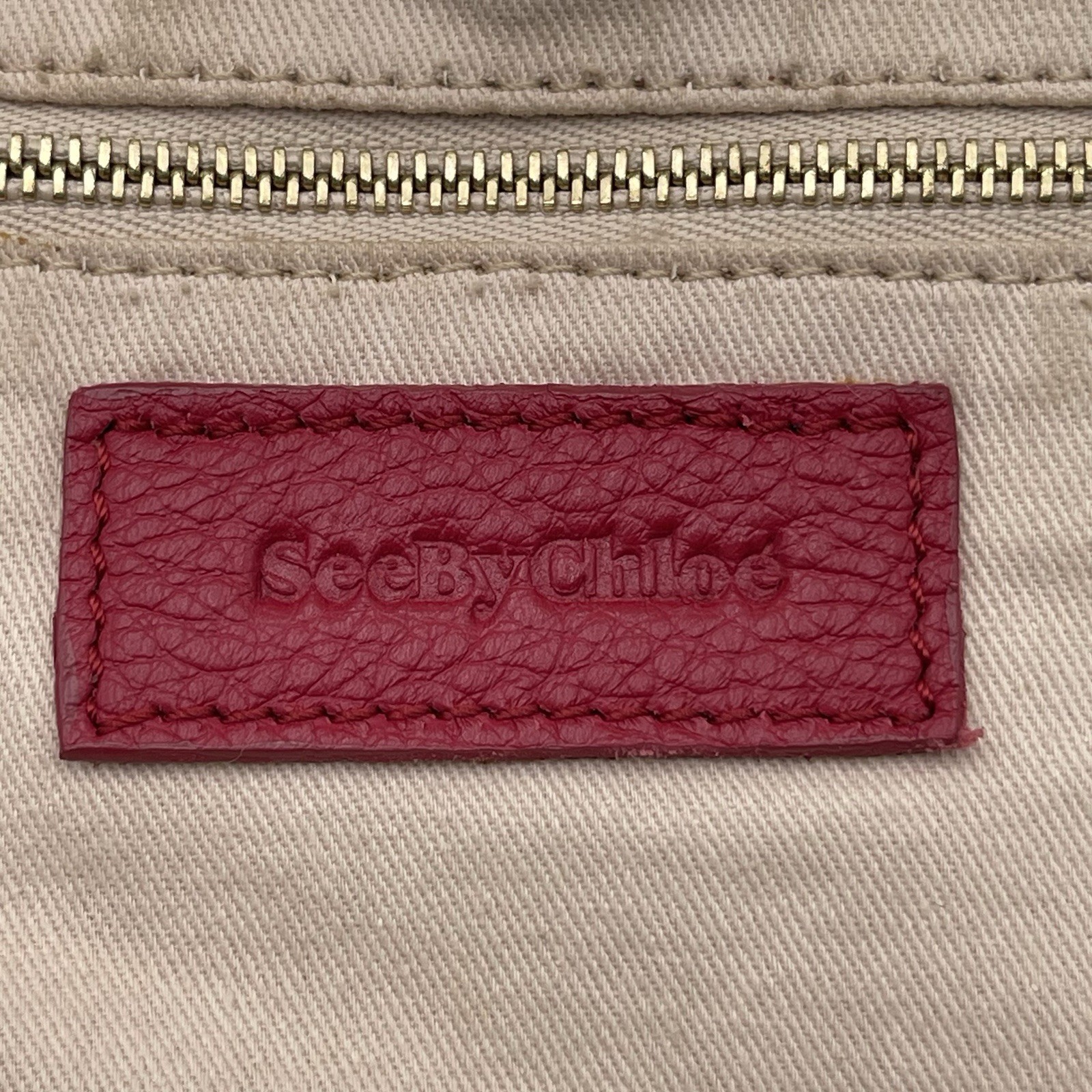 See by Chloe Vicki Saddle Bucket & Drawstring Crossbody Bag Purse Tassels Red