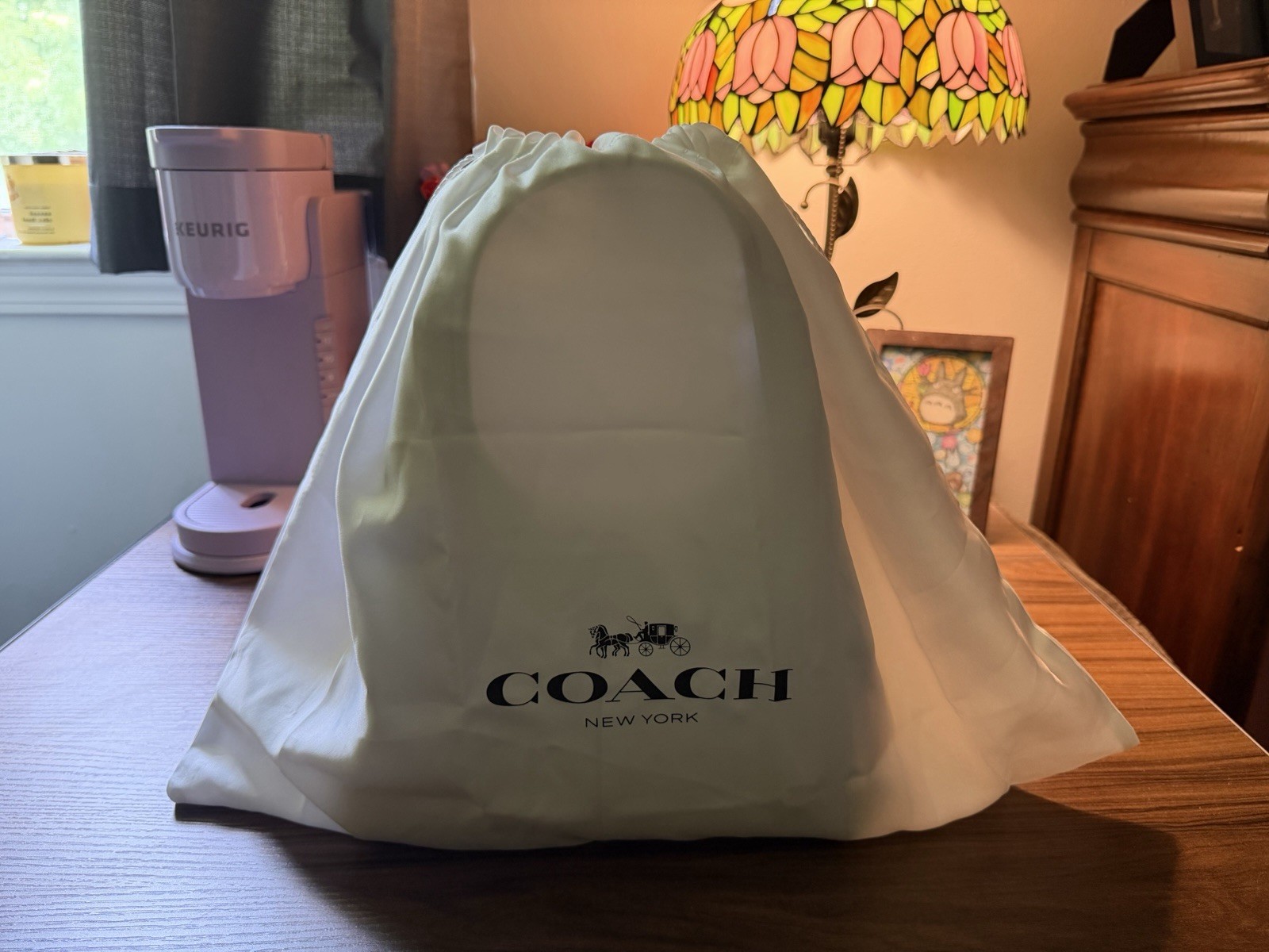Coach Ivory Lana Shoulder Bag 23