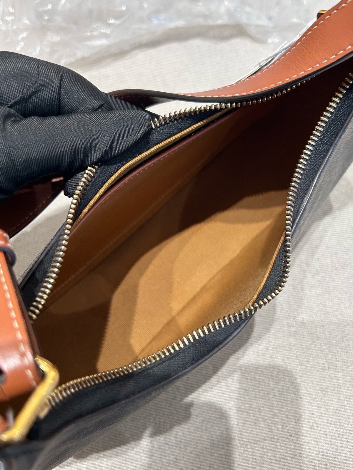 Celine AVA Triomphe Canvas Underarm Pea Shoulder Bag For Women