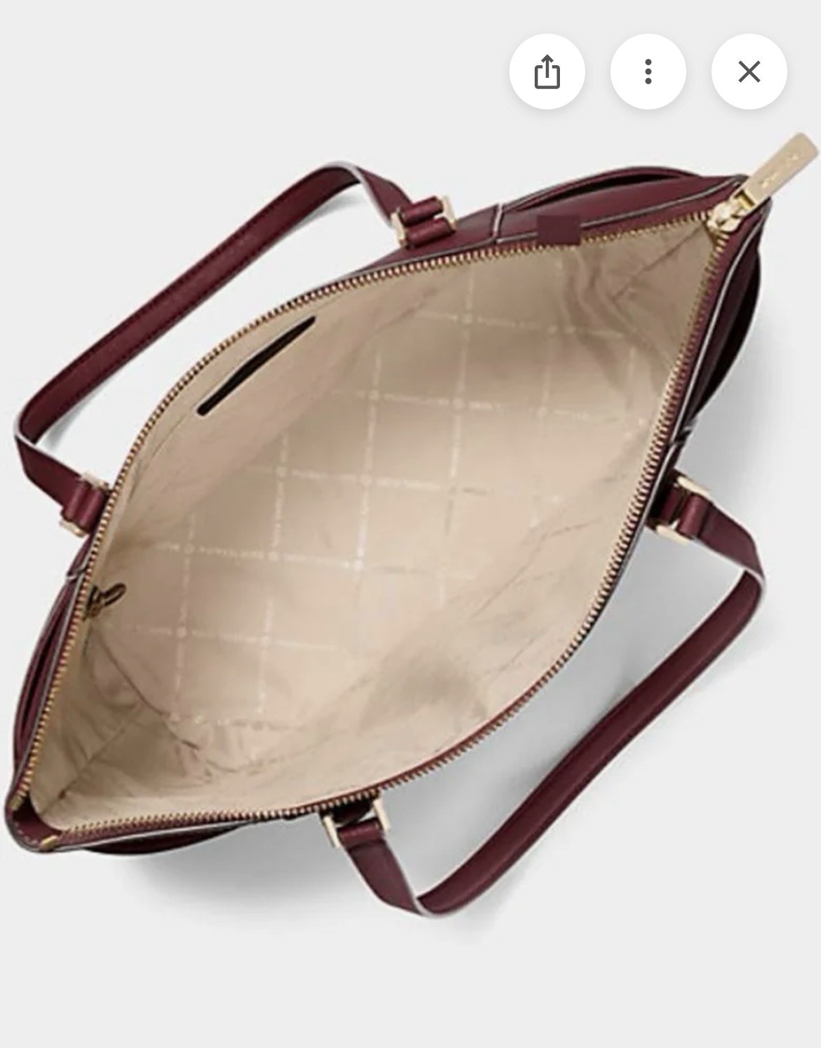 Michael Kors Charlotte Large Leather Top Zip Tote Bag