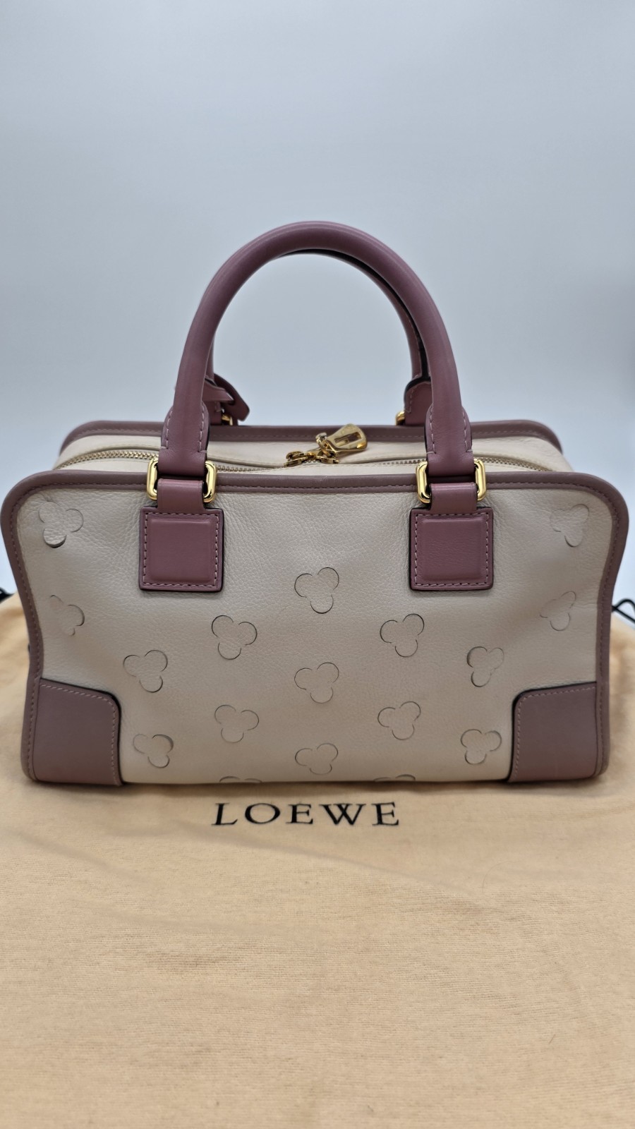 [RARE] Loewe Limited Edition Cherry Blossom Amazona 28