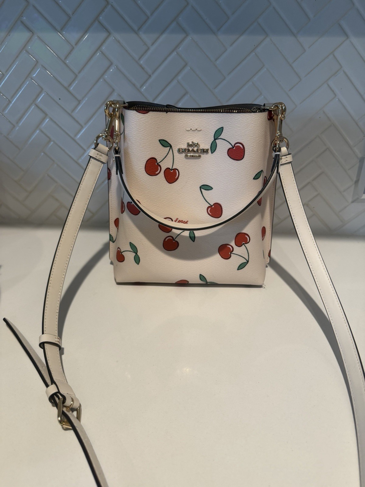 Coach Mollie Bucket Bag 22 in Chalk Multi with Valentine Heart Cherry print
