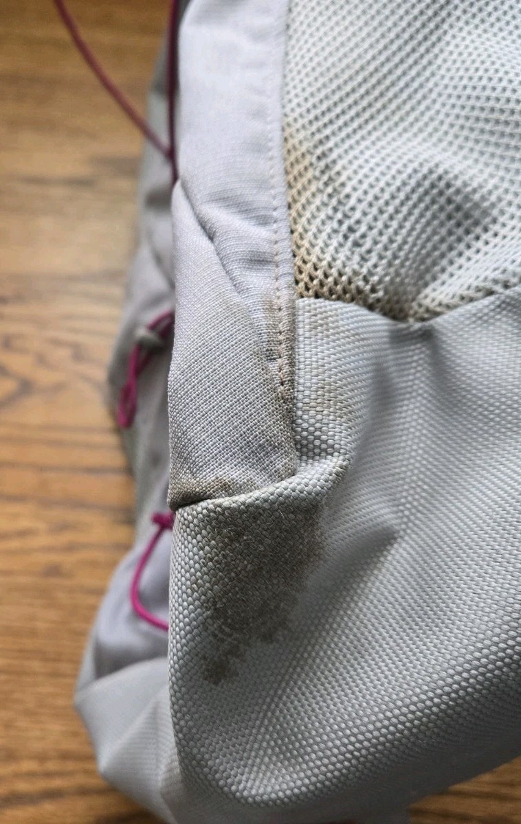 The North Face Backpack Jester Bookbag Laptop Sleeve Gray Pink