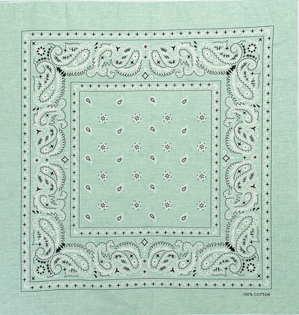Bandana Knotted Tote Bag Mint Green Inspired Triangle Zipper Close NWT Gift