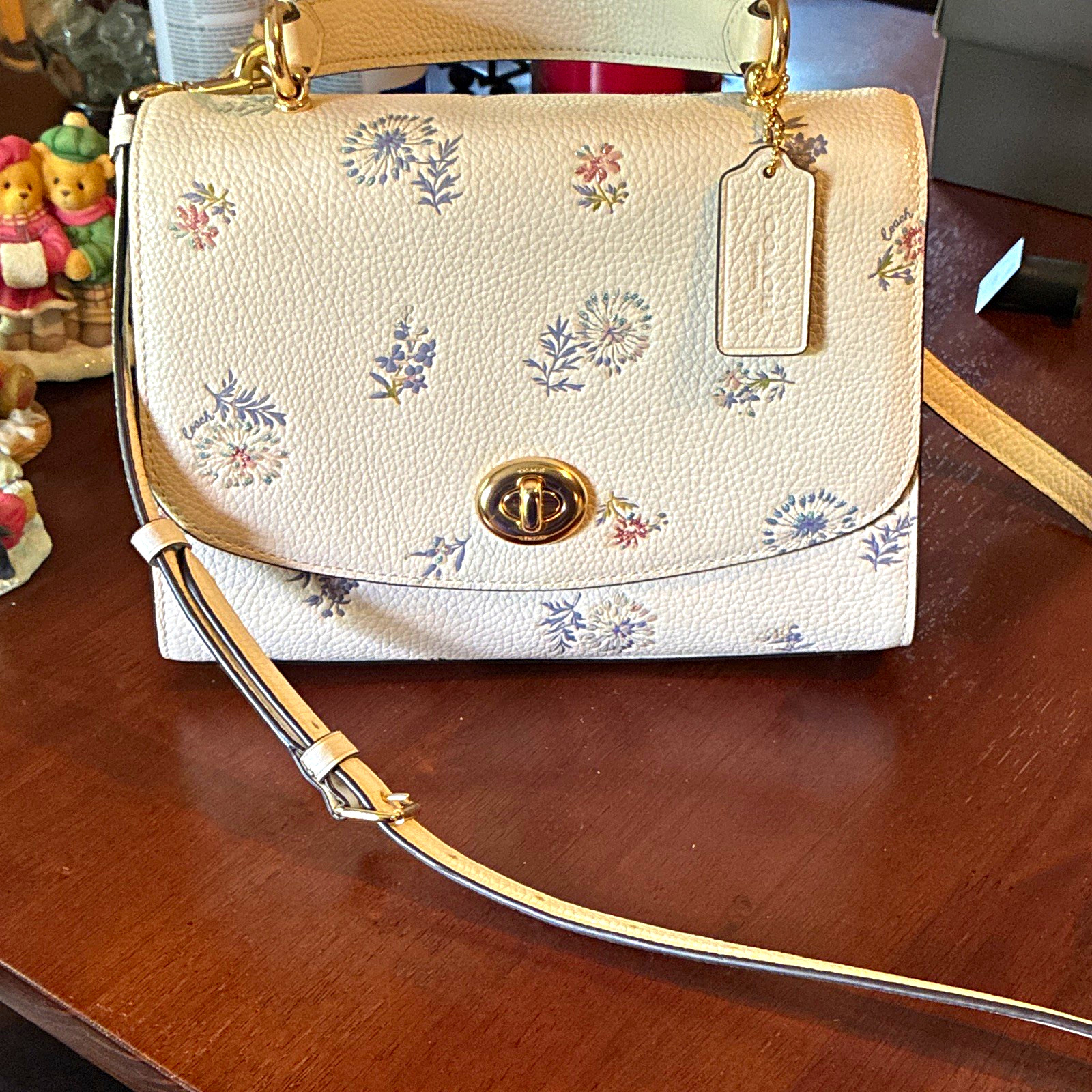 Dandelion Floral Print Coach Tilly Top Handle With Dandelion Floral Print Chalk