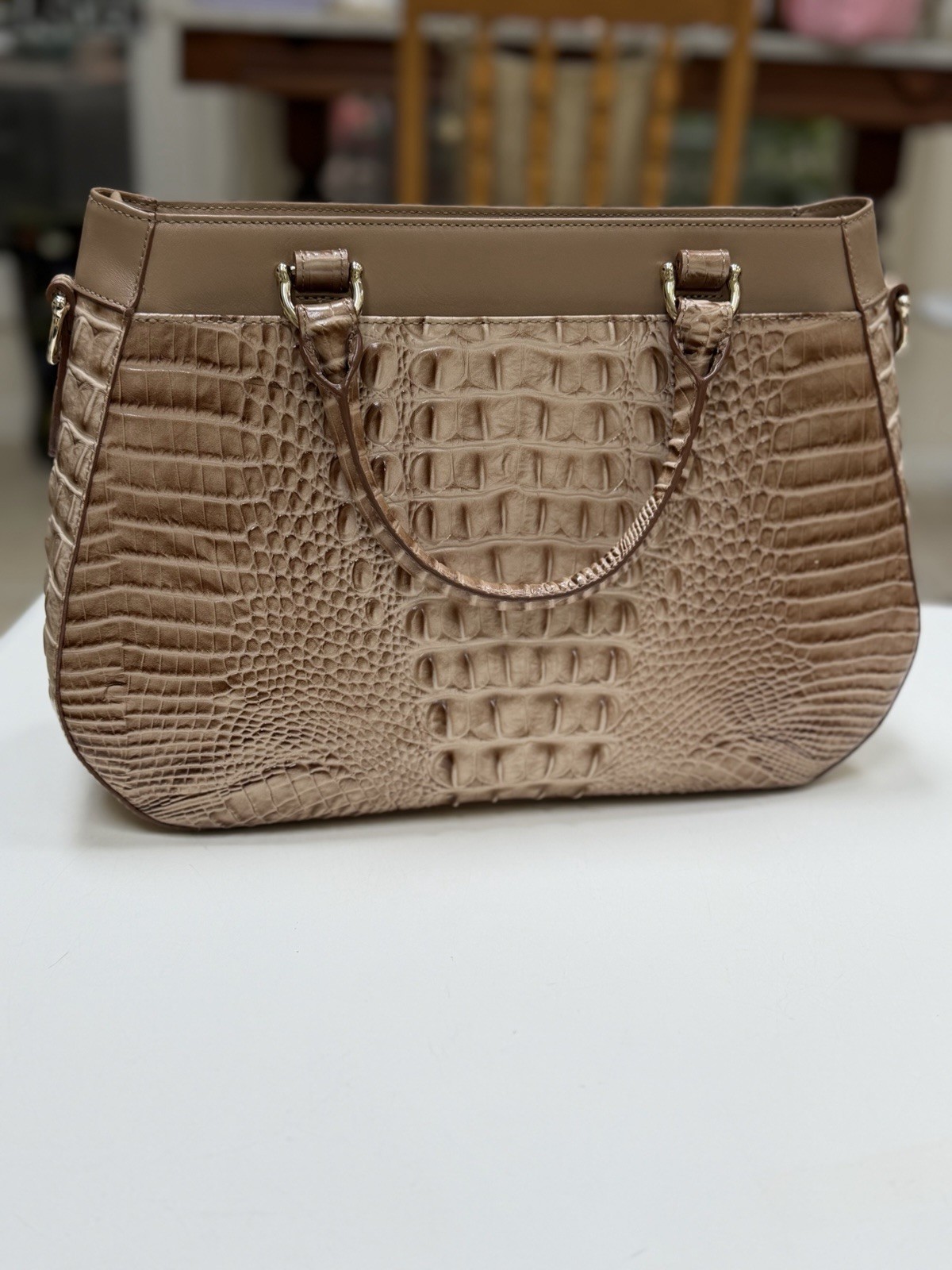 🤍🤎 Brahmin TRAVERTINE BREVIK RAELYNN Satchel EUC Sophisticated & RARE