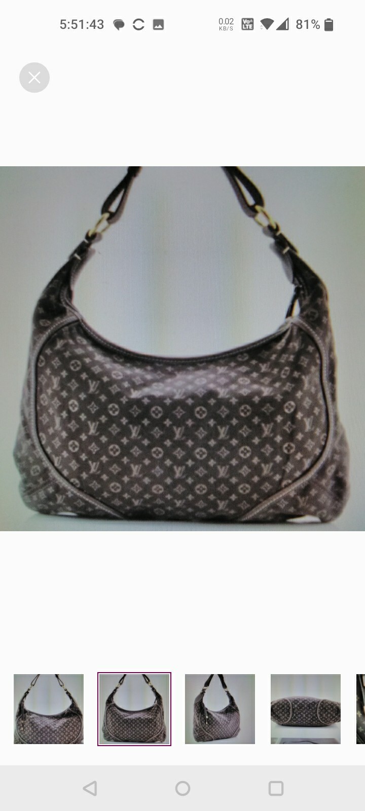 Louis Vuitton Edeme Hobo