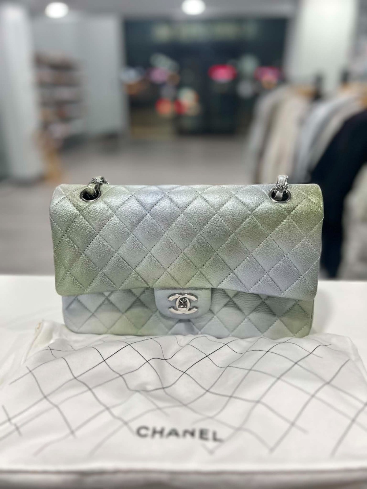 CHANEL 22C Iridescent Ombre Medium Classic Flap Bag Cloudy Goatskin Silver NWT