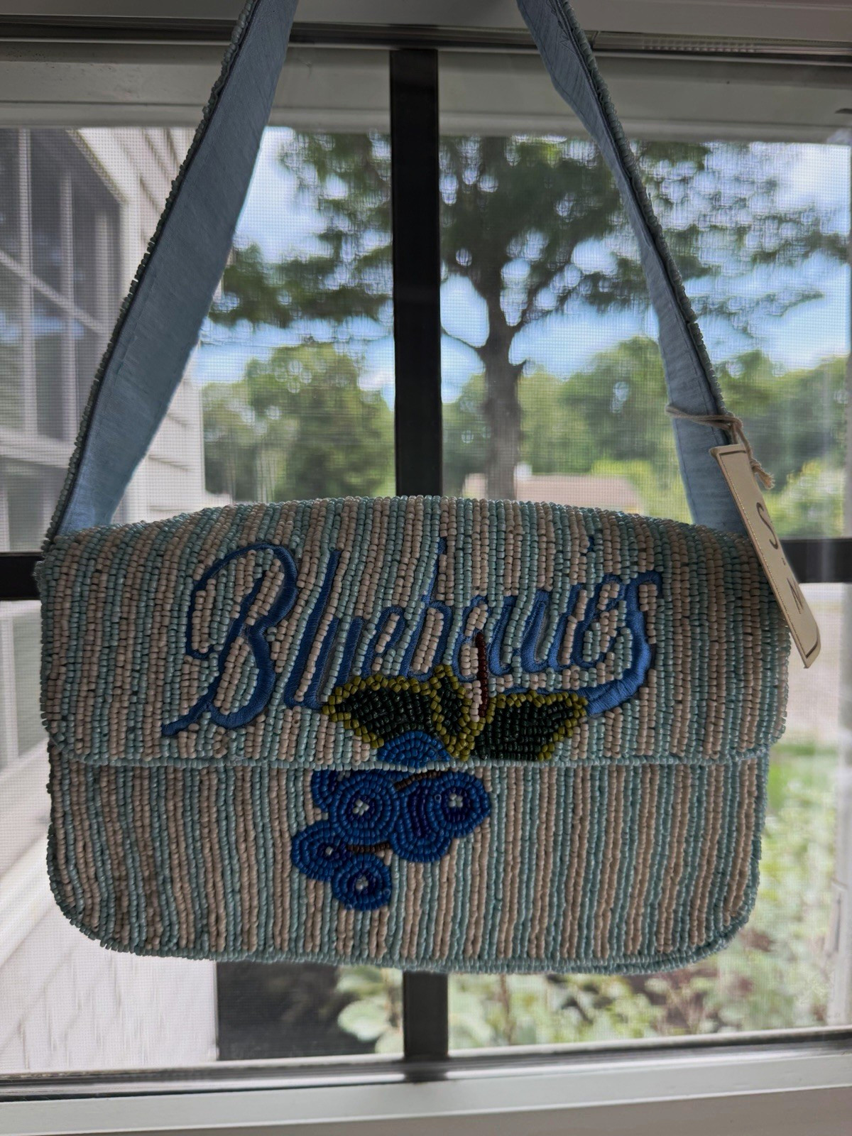 Viral Sol & Mer Blueberries Light Blue Multi Striped Shoulder Bag