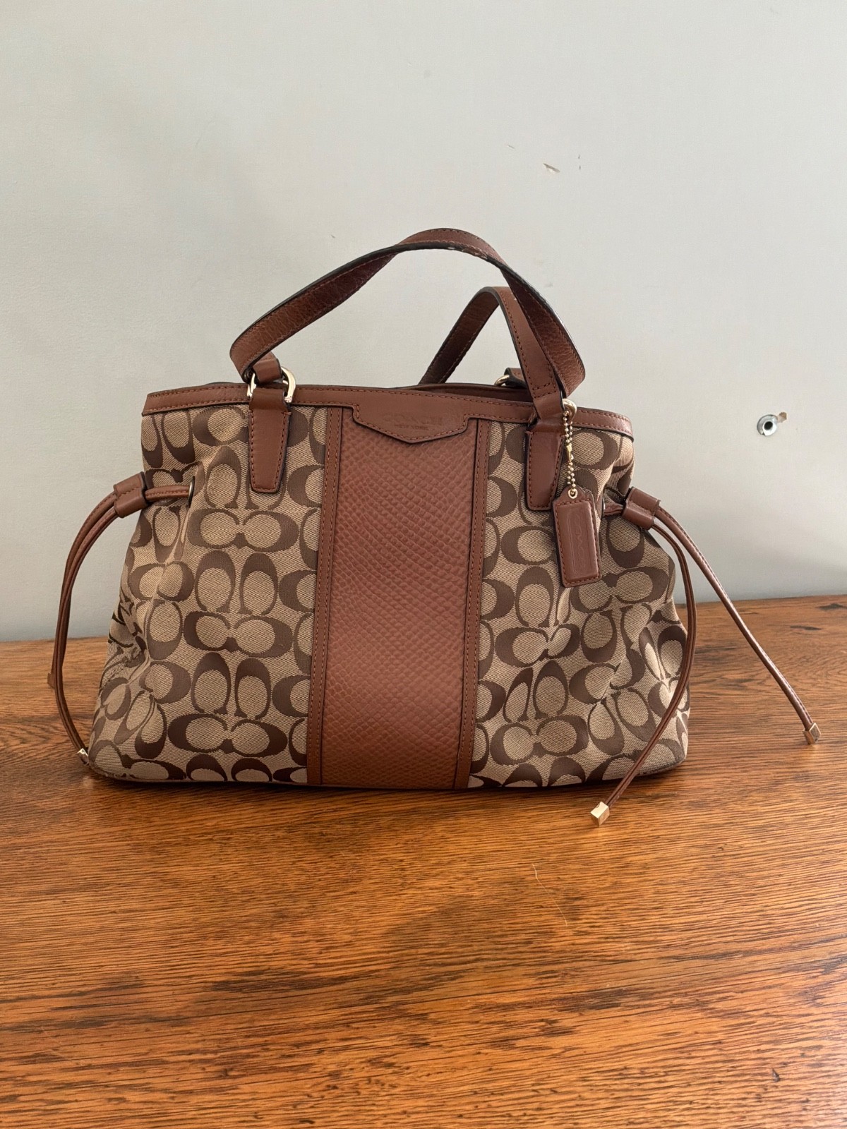 Coach Signature Stripe Python Tote E1495-F29863