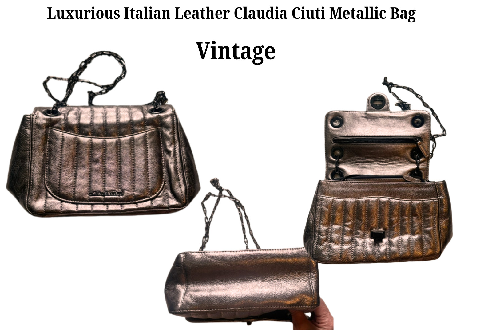 Luxurious Italian Leather Claudia Ciuti Metallic Bag Vintage Strikingly Stunning