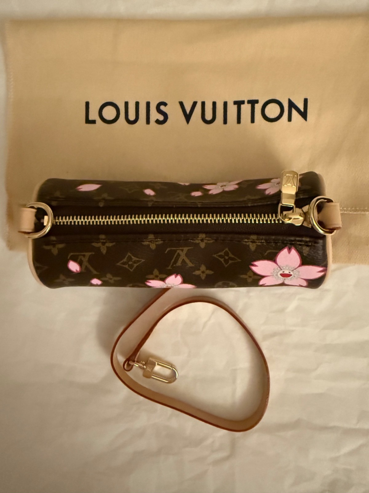 Louis Vuitton Murakami Cherry Blossom Mini Papillon Pouch Pochette LV x TM 2025