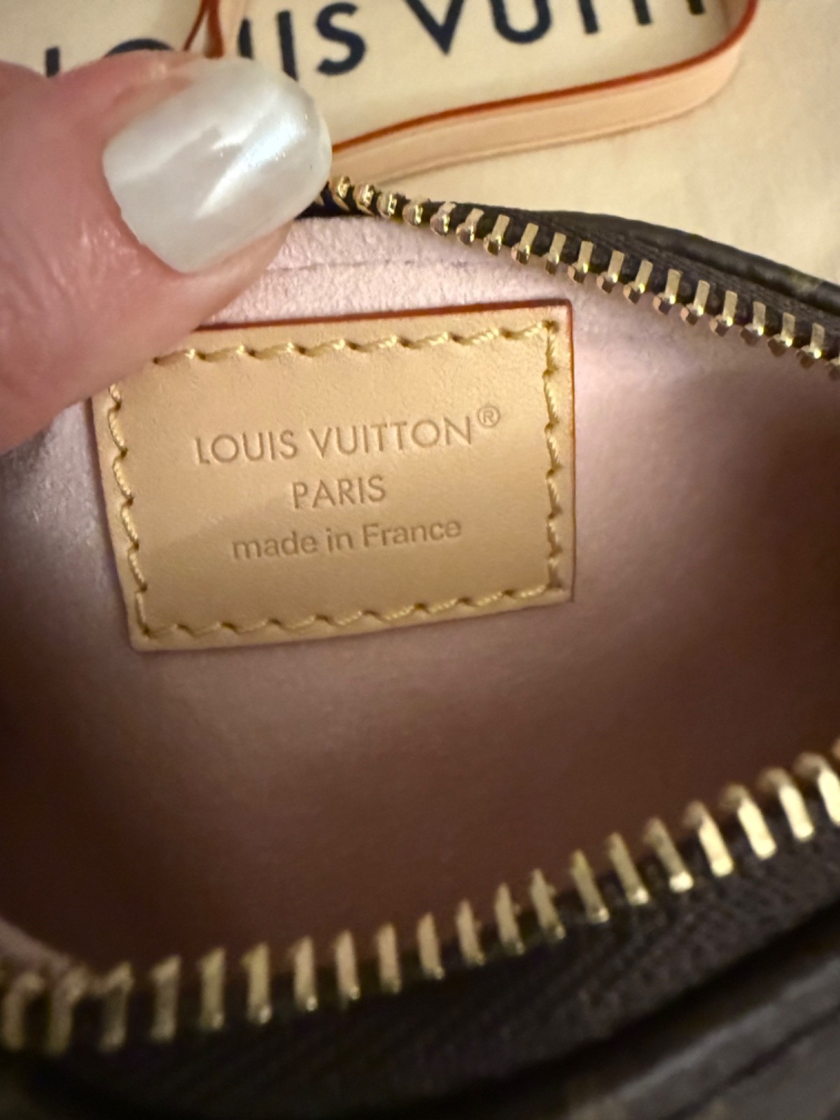 Louis Vuitton Murakami Cherry Blossom Mini Papillon Pouch Pochette LV x TM 2025