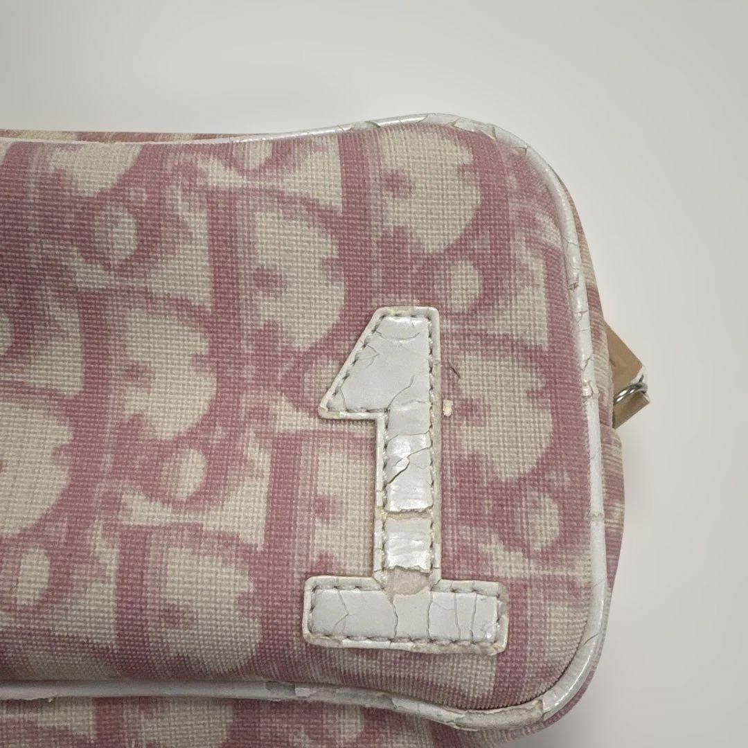 Christian Dior Trotter Pouch Pink Zip Closure No Accessories Used