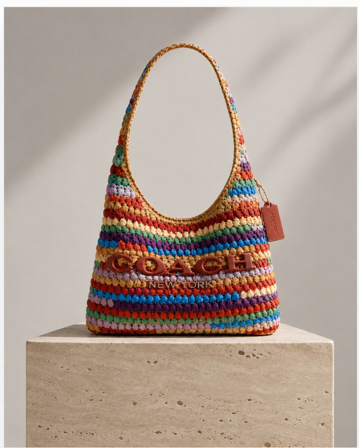 Coach Brooklyn 28 Multi Straw Shoulder Bag NWT Woven Hobo Summer Satchel + Dust