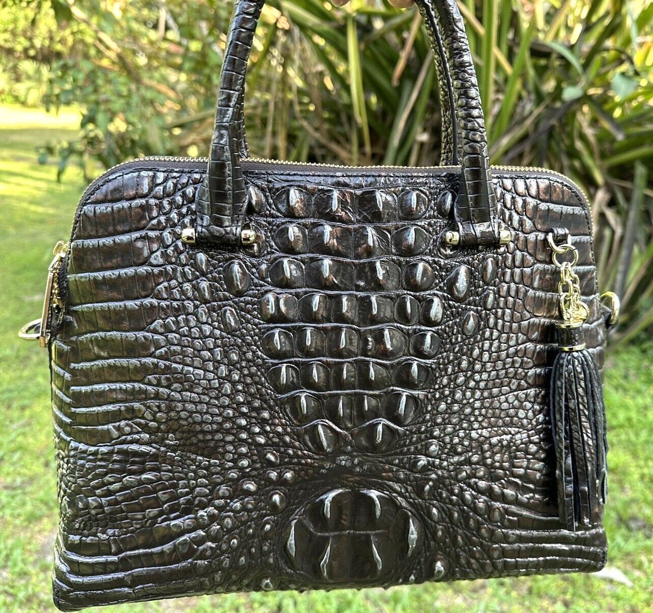 BRAHMIN SYDNEY IRONWOOD CHOCOLATE BROWN SILVER METALLIC LEATHER w TASSEL HANDBAG