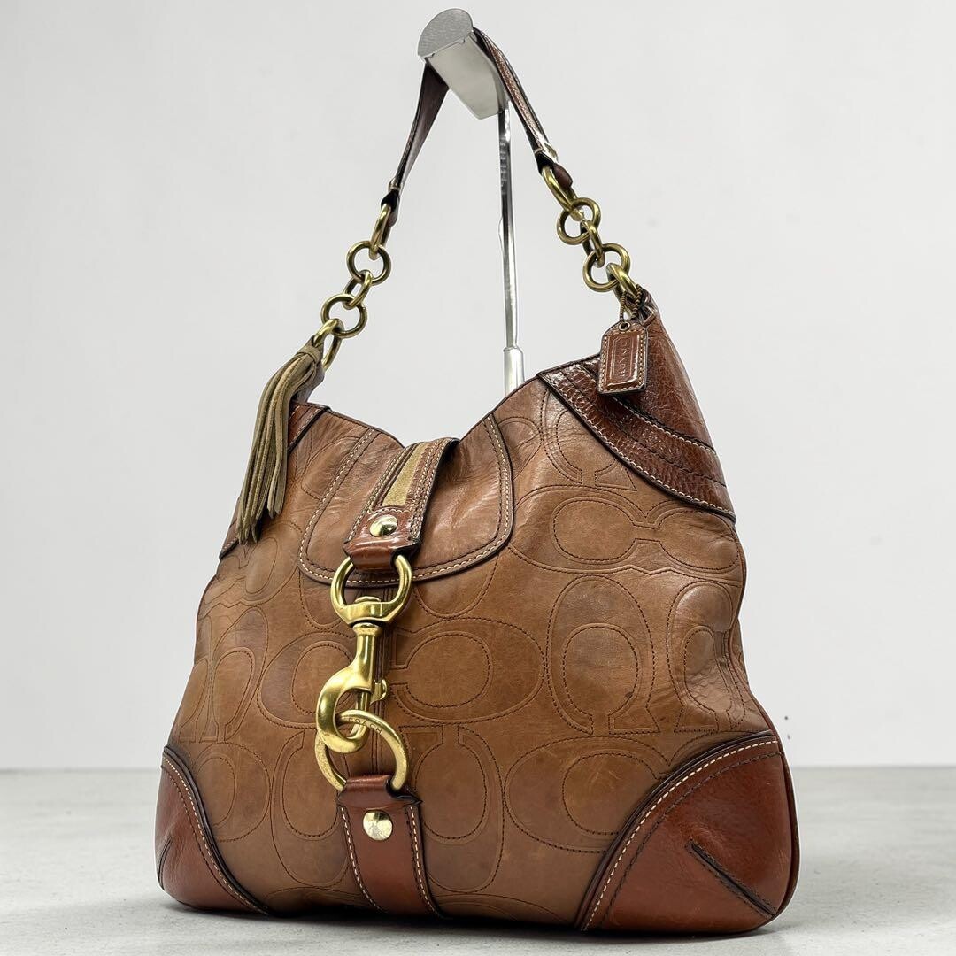 COACH 10224 Hobo Bag Embossed Leather Brown Vintage From Japan