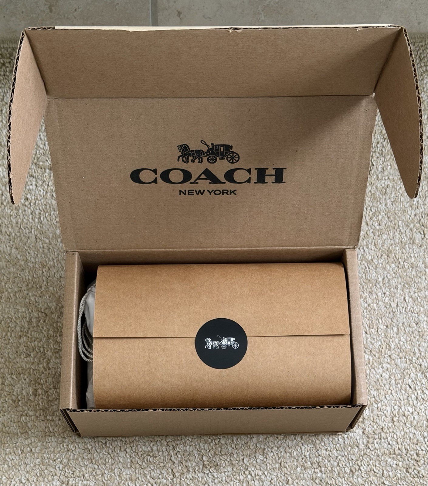 NWT COACH RUNWAY LIMITED EDITION NUAGE SUEDE TRIANGLE KISSLOCK POUCH CFB90