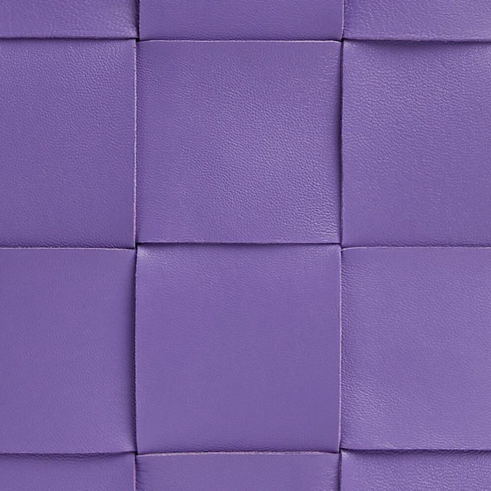 Bottega Veneta Handbags Leather Purple Women 8.7 x 2.2 x 6.5 in