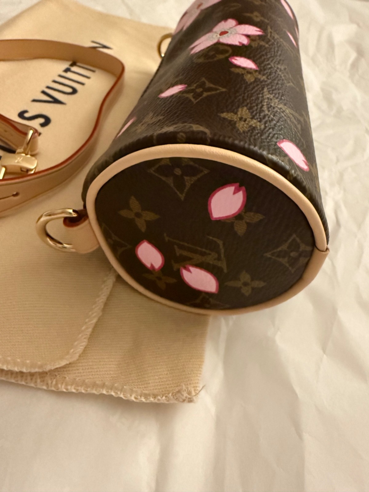 Louis Vuitton Murakami Cherry Blossom Mini Papillon Pouch Pochette LV x TM 2025