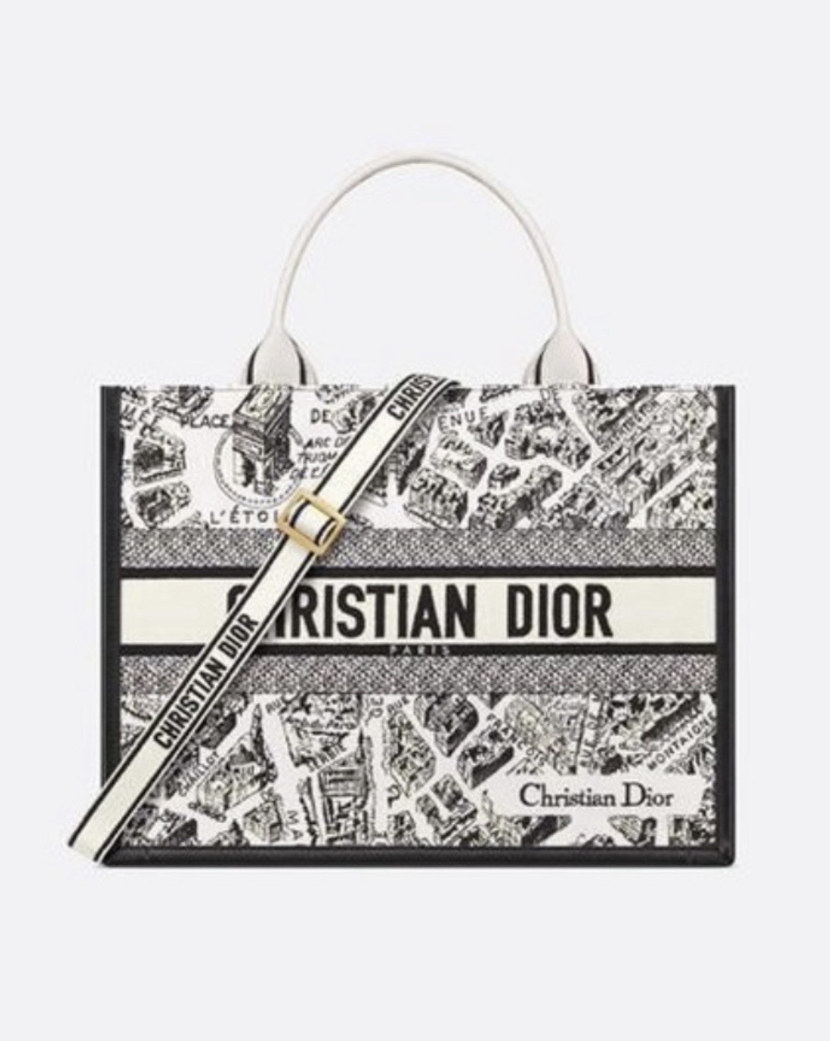 DIOR Medium Book Tote /Plan de Paris NEW! BLK Leather Trim!