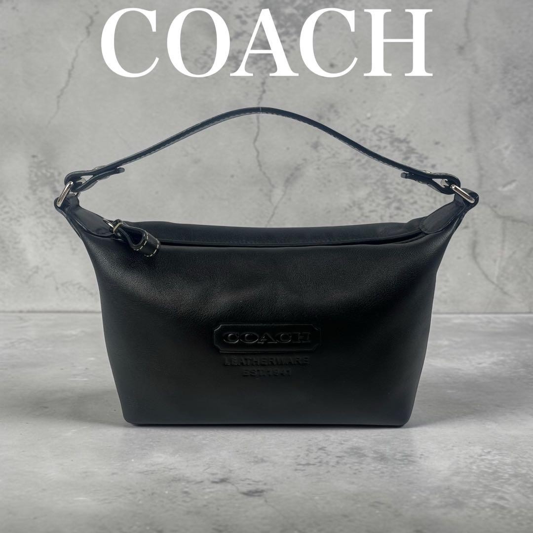 COACH Accessory Pouch All Leather Handbag