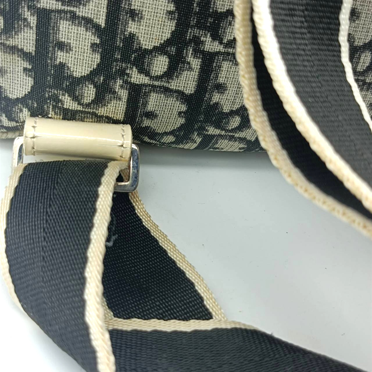 Christian Dior Bag Backpack Trotter monogram No.2 BOD0096